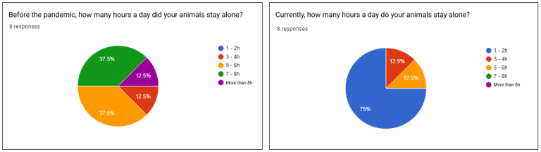 Before the pandemic, how many hours a day did your animals stay alone? 37,5% 5-6h 37,5% 7-8h 12,5% 3-4h 12,5% More than 8h Currently, how many hours a day do your animals stay alone? 75% 1-2h 12,5% 3-4h 12,5% 5-6h